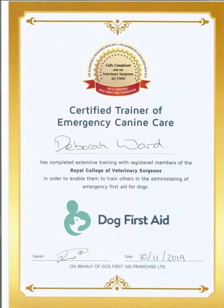 certified-trainer-certificate