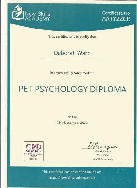 pet-sitting-diploma